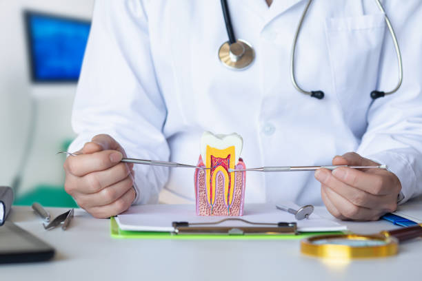 Best Holiday Emergency Dentist in St Jaco, IL